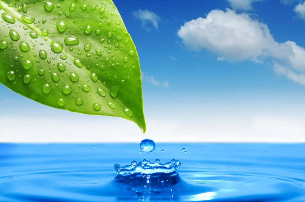 Drinking Water 5 UV water disinfection