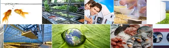 UV Light Applications