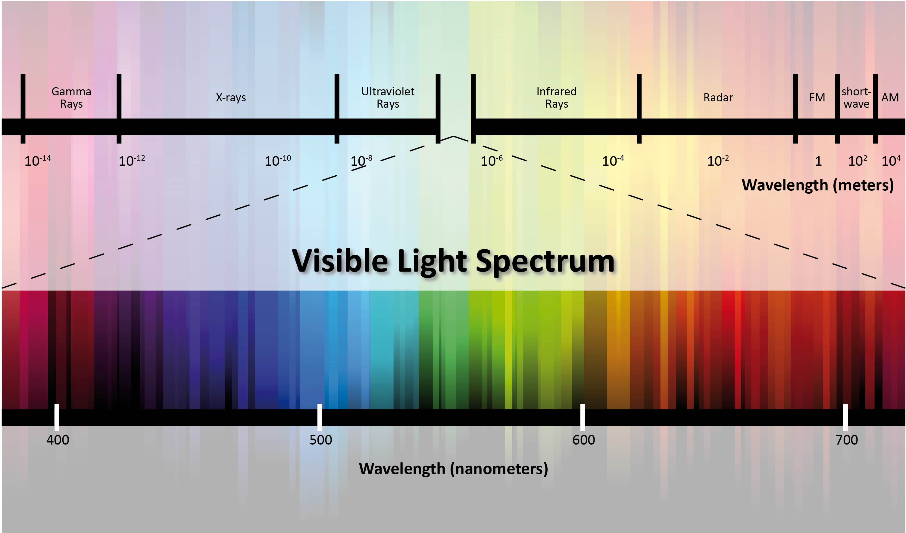Spectral Power Distribution - Visible Light Spectrum