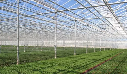 UV Light Kills Bacteria in Air Treatment Systems 3