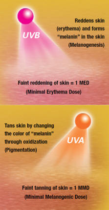 Differences between UVA and UVB Light