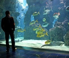 Aquarium Lighting 2