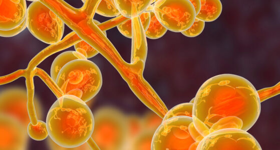 Does UV Light Kill Candida Auris? - LightSources