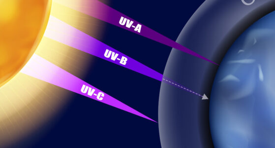 Using UV Light for Disinfection