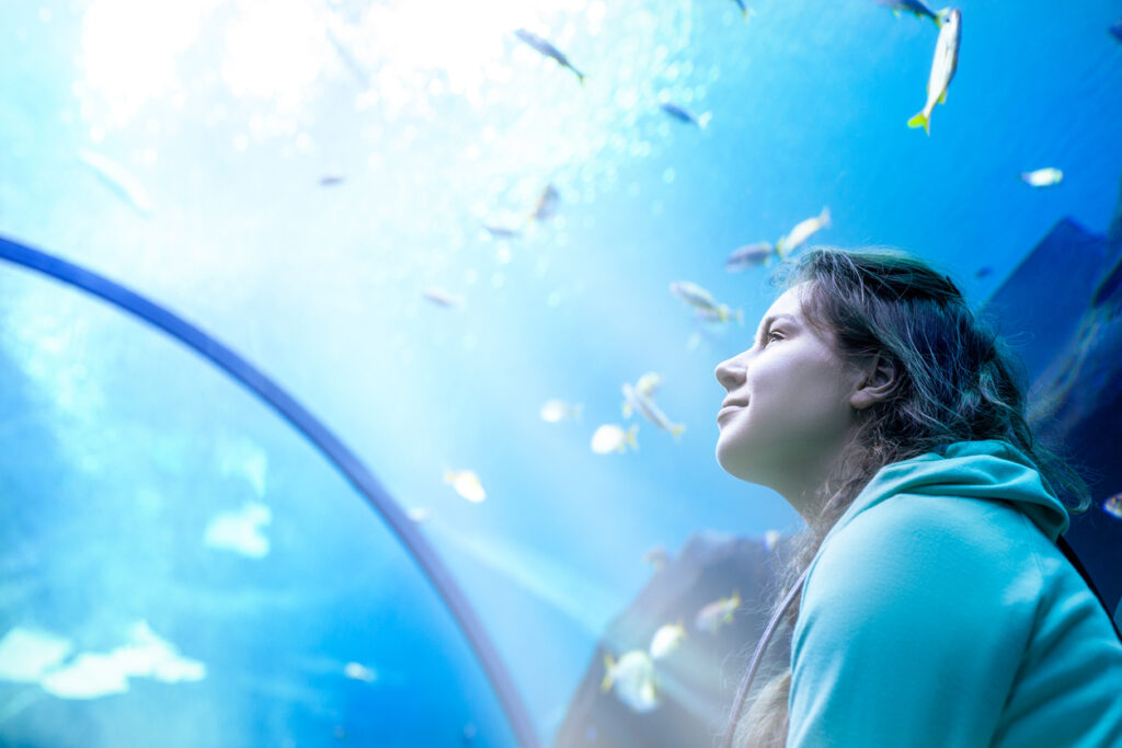 UV lamps for aquariums